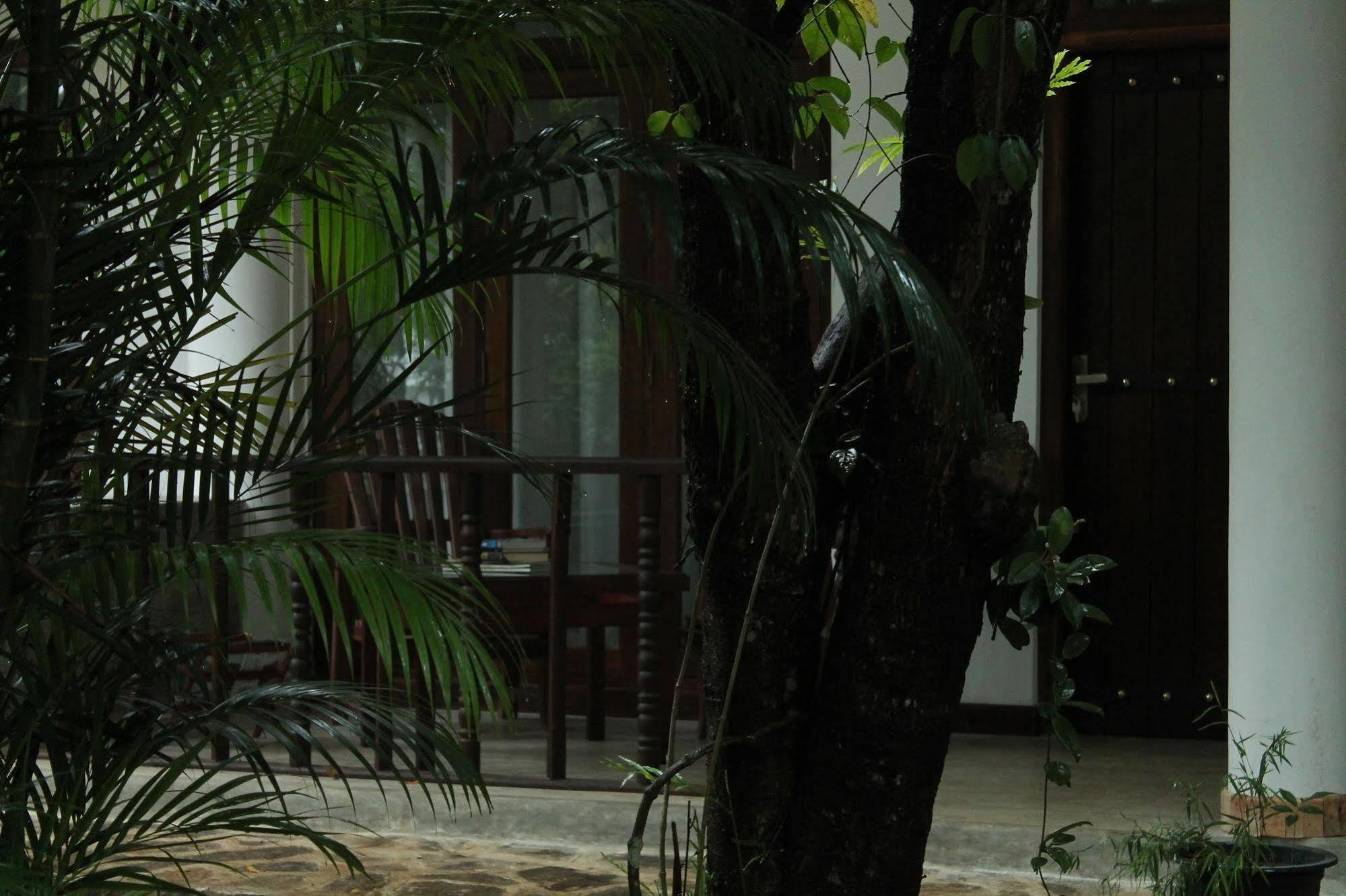 Heavens Holiday Resort Tennekumbura Exterior foto